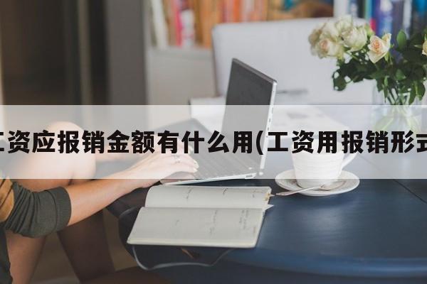 工资应报销金额有什么用(工资用报销形式)